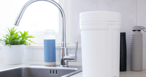 Choosing the Right Home Water Filter
